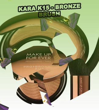 Bronze brush makeup