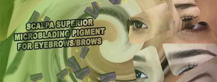 Eyebrow microblading colors